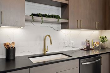 Brass Gooseneck Kitchen Faucet